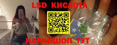 ГАЛЛЮЦИНОГЕННЫЕ ГРИБЫ Камышлов